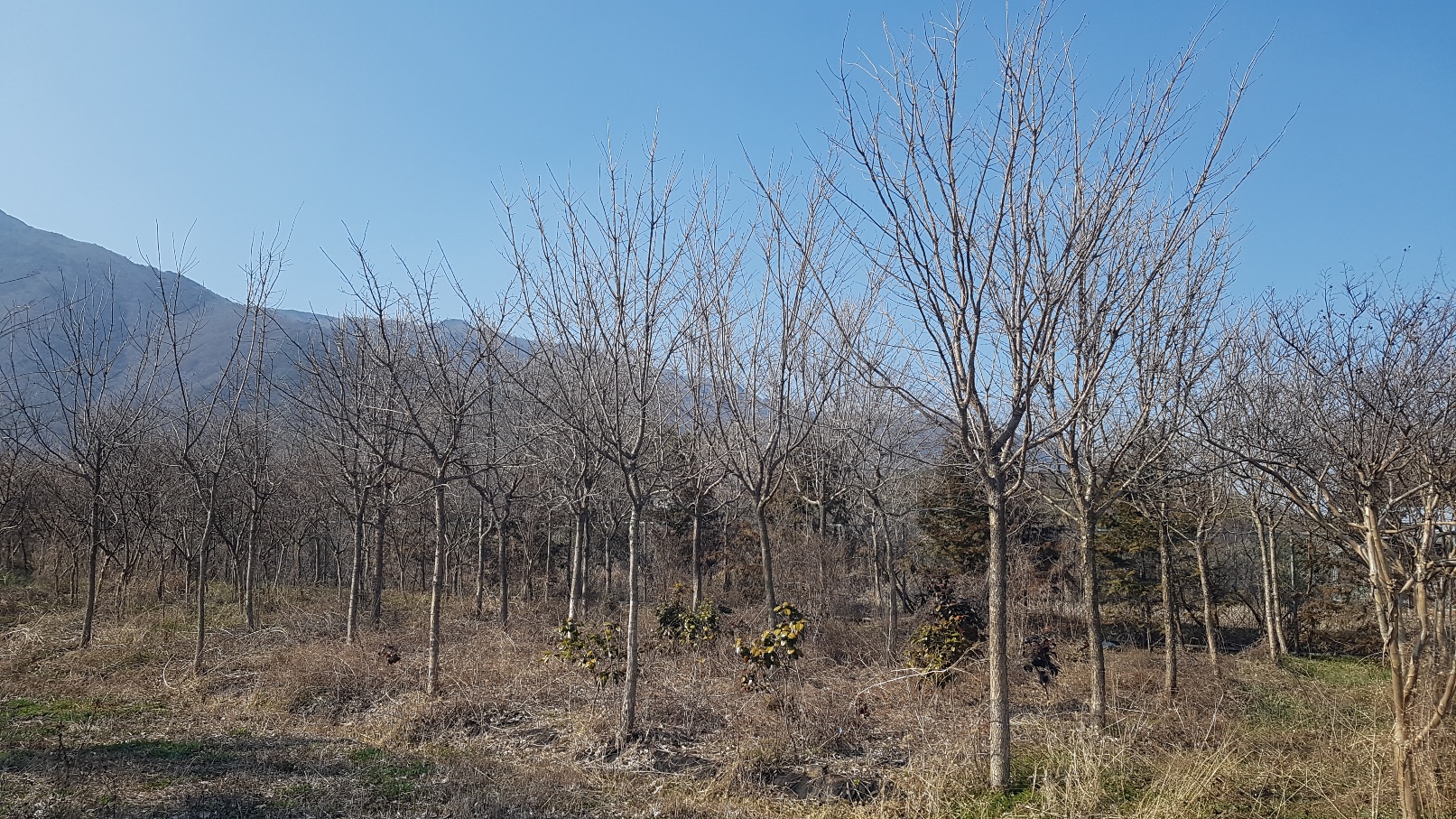 4.��ճ������˳��� �Ǹ��մϴ�.�����(�����ȣ010-9915-3089)