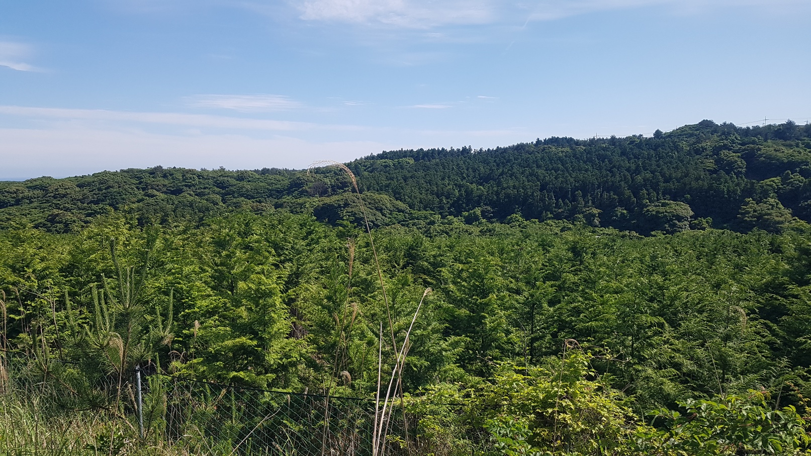 5.���鳪�� �Ǹ��մϴ�.(�����ȣ 010-9915-3089)