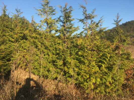 5.���鳪�� �Ǹ��մϴ�.(�����ȣ 010-9915-3089)