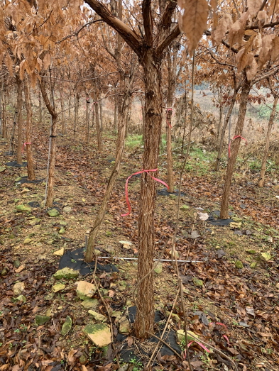 6.���ڱ� R10, R12 �Ǹ��մϴ�(�����ȣ:010-9915-3089)