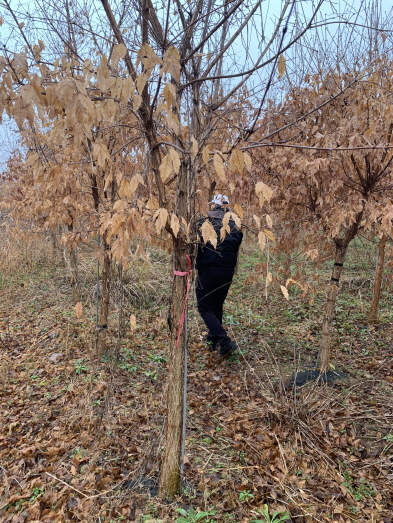 6.���ڱ� R10, R12 �Ǹ��մϴ�(�����ȣ:010-9915-3089)