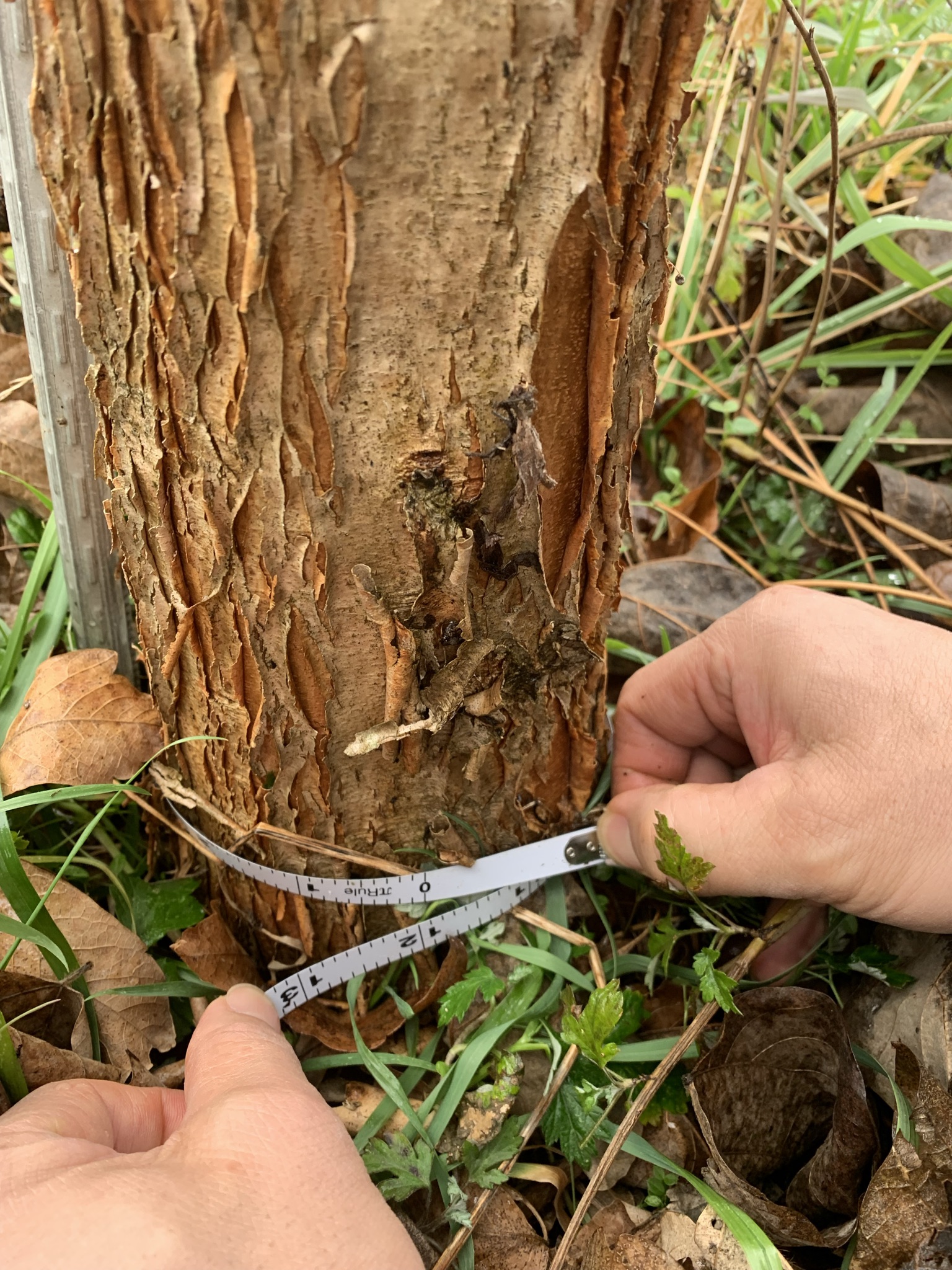 6.���ڱ� R10, R12 �Ǹ��մϴ�(�����ȣ:010-9915-3089)