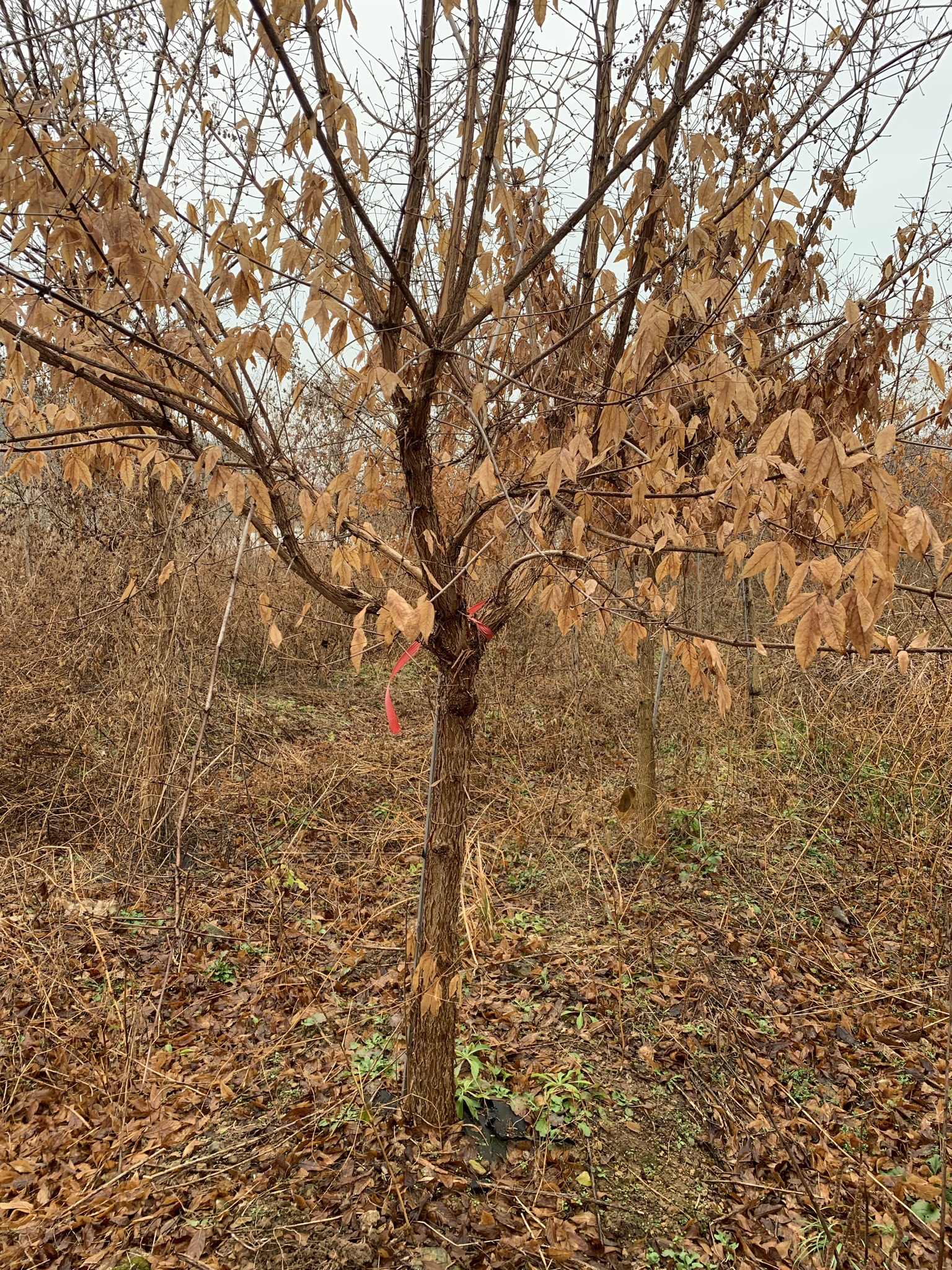 6.���ڱ� R10, R12 �Ǹ��մϴ�(�����ȣ:010-9915-3089)