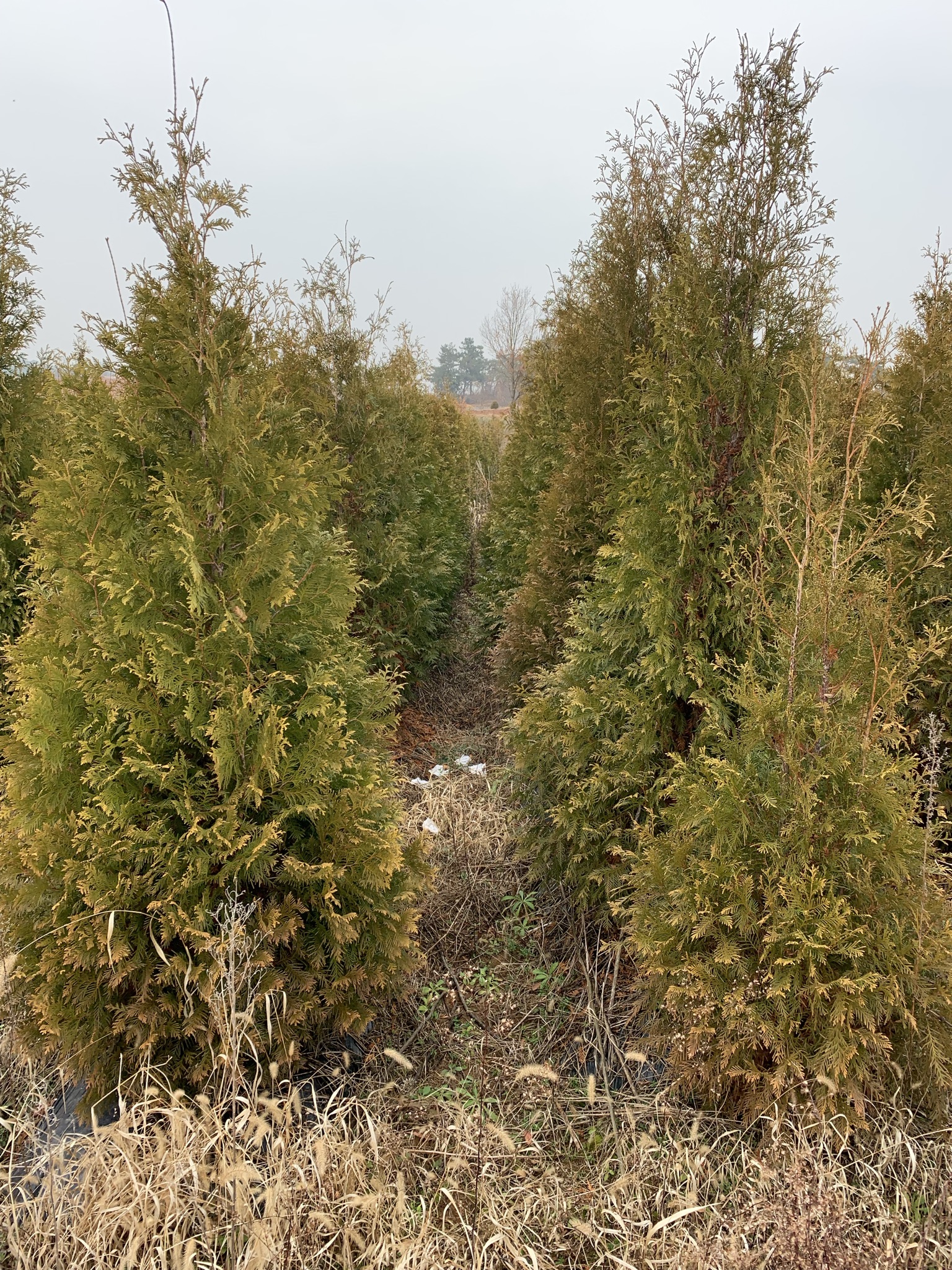 7.��������(������)H1.0~2.5m(�����ȣ010-9915-3089)