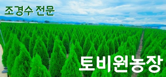 [����] ���޶���׸�/���޶�����/������̽�/���翡�ο�/1.5M~4M