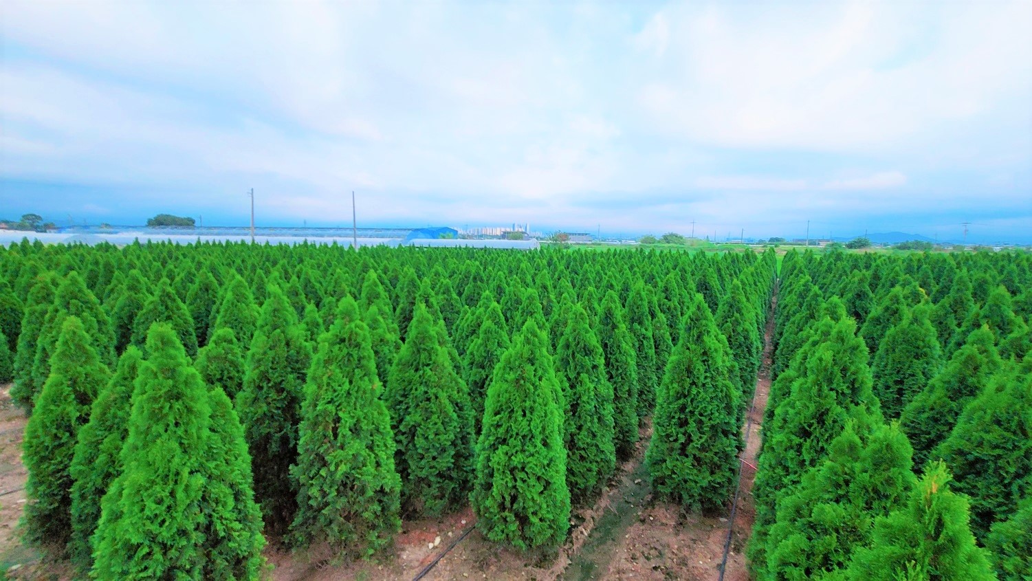 [����] ���޶���׸�/���޶�����/������̽�/���翡�ο�/1.5M~4M