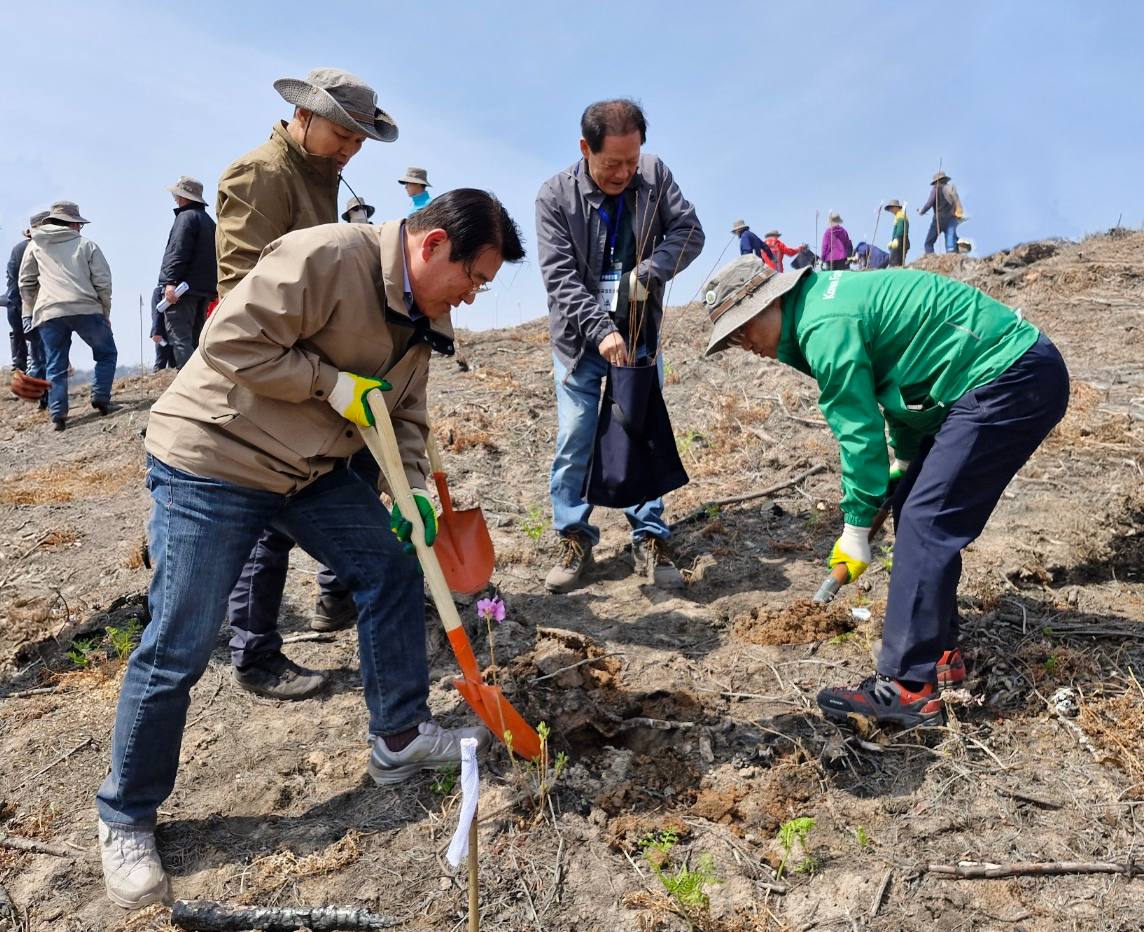�긲�����߾�ȸ, �ĸ��� ��� �����ɱ� ��� ����